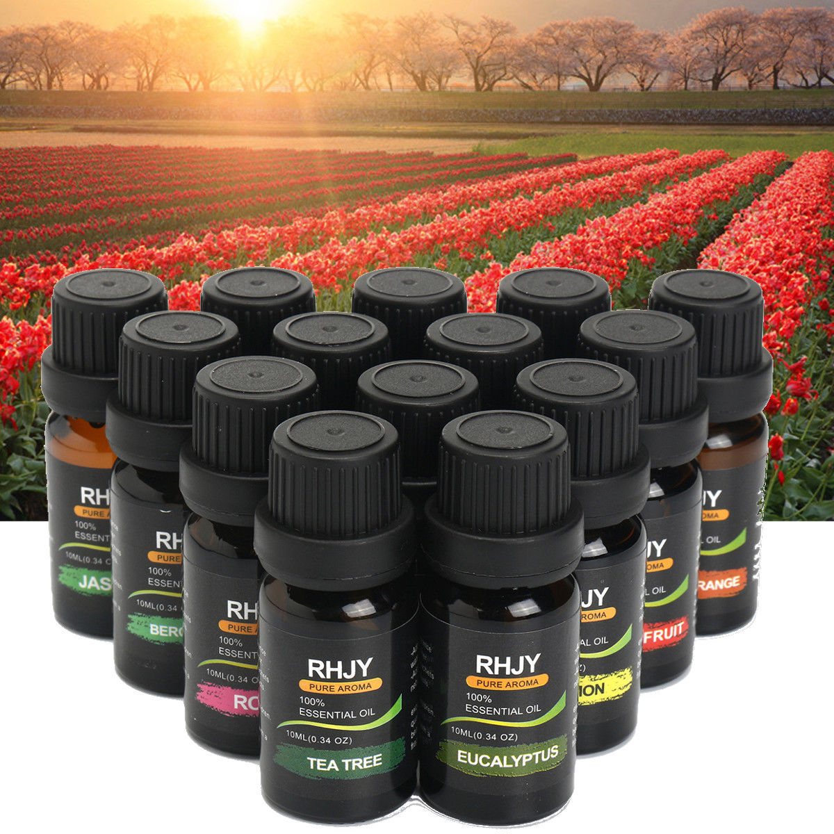 Diffuser Essential Oil Set